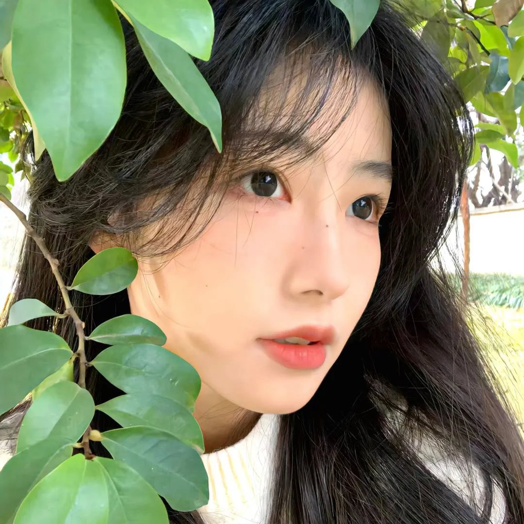 宅男的恋爱字典
